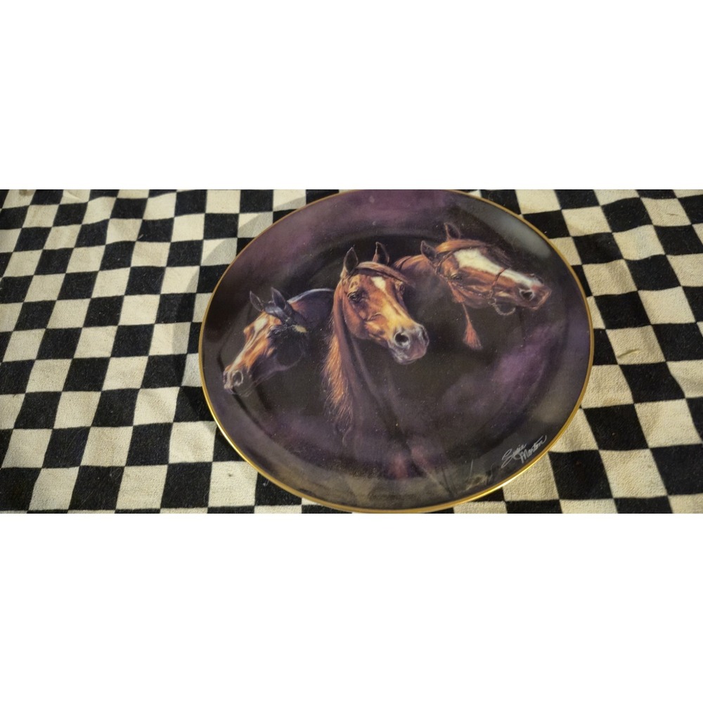 Vintage 1993 Entering The Light Noble And Free By Susie Morton Horse Plate